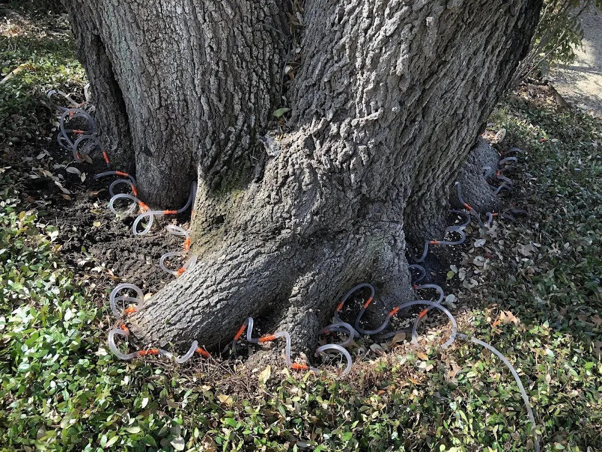 Detailed Shrub and Hedge Trimming job site in Mott